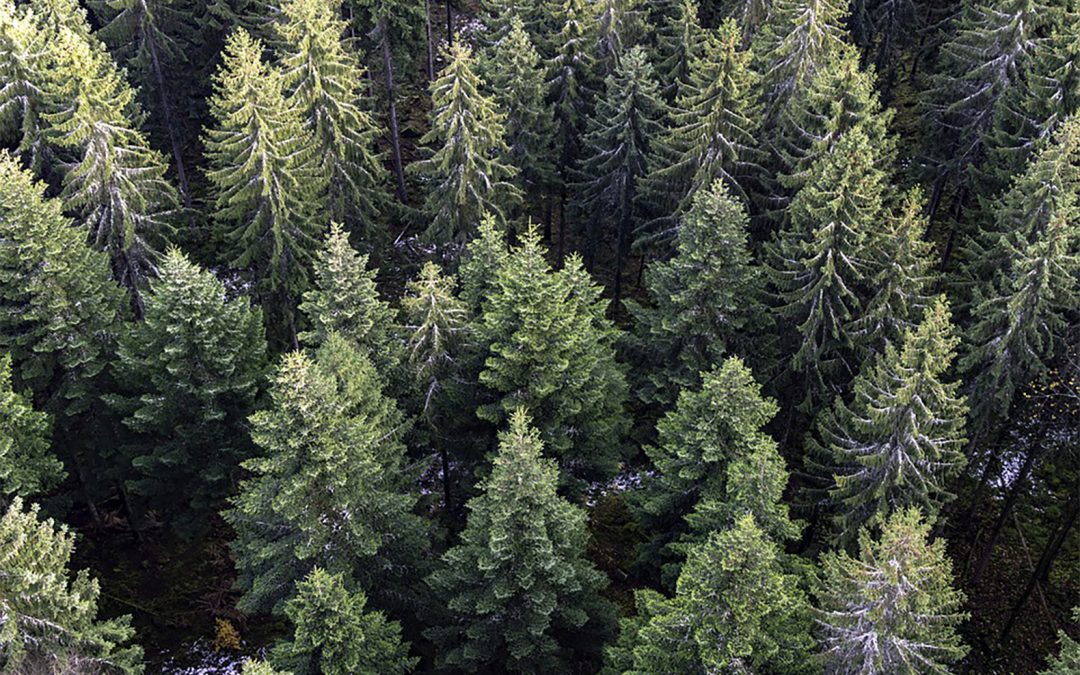 Happy, Holy Shit, Jingle Bells, X-mas Party