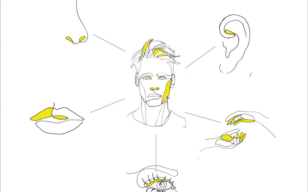 Fachbuchbeitrag: Multisensorisches Marketing